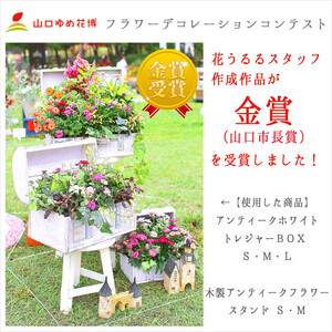 D015 花うるるのおまかせ寄せ植え「トレジャーBOX」Sサイズ～季節の花をアレンジ