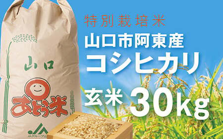 C072 特別栽培米阿東産コシヒカリ玄米30kg | 山口県山口市 | ふるさと納税サイト「ふるなび」