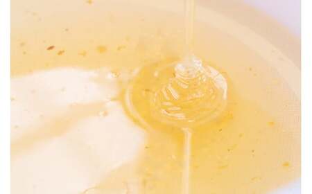 B060 山口県産 愛情いっぱい極上のはちみつギフトセット大(300g×3本) B060 山口県産 愛情いっぱい極上のはちみつギフトセット大(300g×3本)