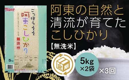 A113 阿東こしひかり（無洗米5kg×2）3か月定期便