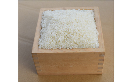 A115 【定期便】阿武川源流米コシヒカリ白米60㎏(5kg×12回)