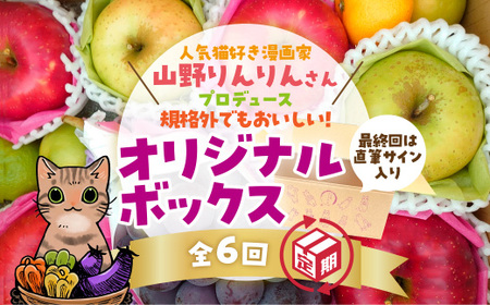 B088 山野りんりん直筆サイン入り規格外でも美味しい SDGsなフルーツ定期便(6回)