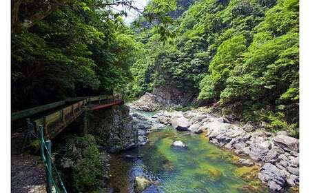 C118 徳佐の米こしひかり2kg×5袋（白米）