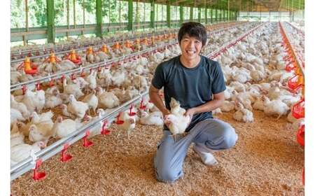 D351 秋川牧園 旨みたっぷり鶏肉セット