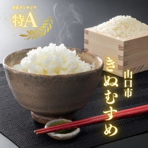 D405 農家直送!山口市産新米「きぬむすめ」精米10kg