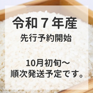 D405 農家直送!山口市産新米「きぬむすめ」精米10kg