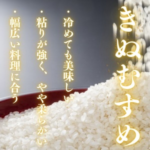 D395 農家直送!山口市産新米「きぬむすめ」精米5kg