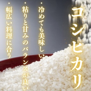 D396 農家直送!山口市産新米「コシヒカリ」精米5kg