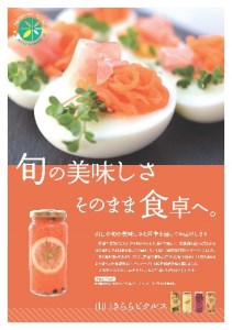 E015 山口きららピクルス詰め合わせ