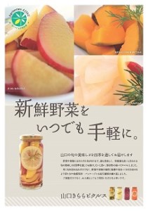 E015 山口きららピクルス詰め合わせ