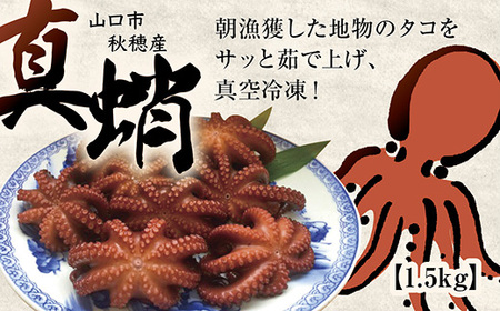D-022 漁師の浜ゆでだこ(1.5kg)