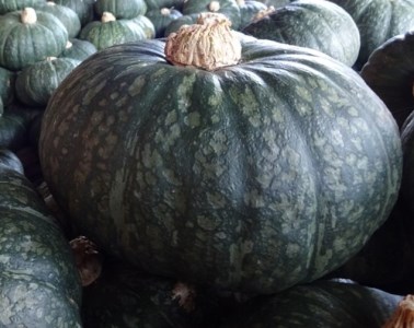 E067 蜂蜜屋さんの手作りハニージャム