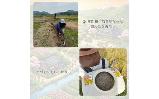 B095 ミツバチと地球の未来を守るお米【八米】玄米10㎏ B095 ミツバチと地球の未来を守るお米【八米】玄米10㎏