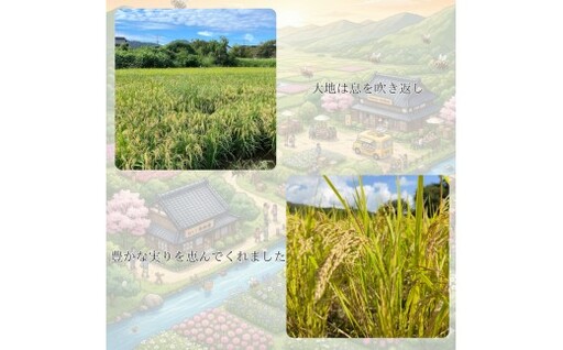 B095 ミツバチと地球の未来を守るお米【八米】玄米10㎏ B095 ミツバチと地球の未来を守るお米【八米】玄米10㎏