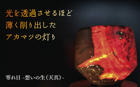 A003 零れ日-想いの生（天真）- 10,780円