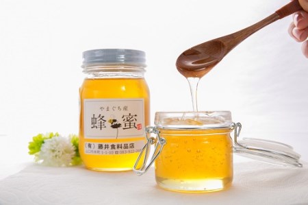 D155 山口のはちみつ 500g