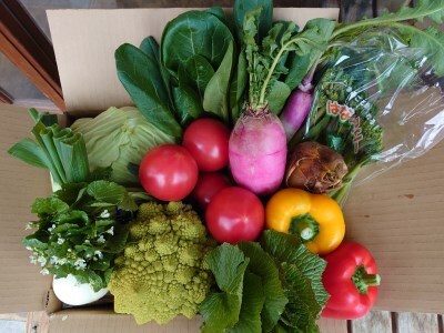 A034 安心お野菜定期便(12回コース)