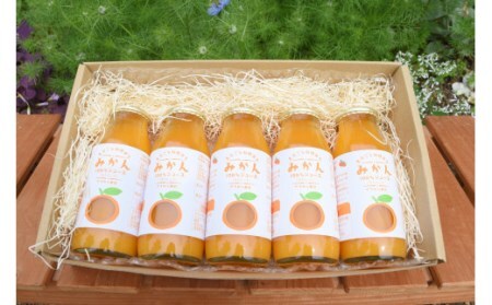 E040 まるごと秋穂育ち　みかんジュースセット（5本入り）