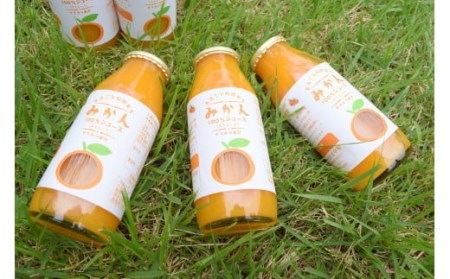 E040 まるごと秋穂育ち　みかんジュースセット（5本入り）