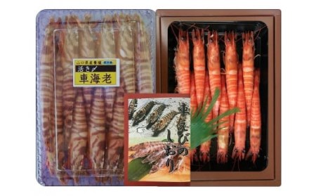 C036 特撰車えびセット