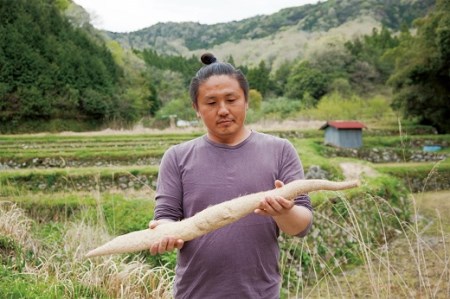 01C-035 ミライエfarm特級規格品質1本もの1キロ超え特大サイズ 最高級自然薯