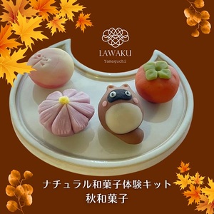 D243 ナチュラル和菓子体験キット　ギフトセット
