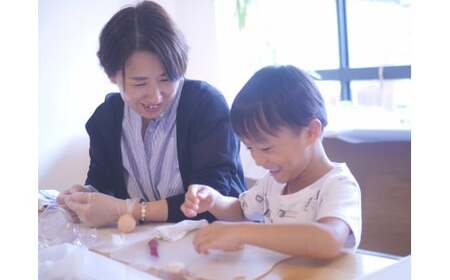 D244 ナチュラル和菓子体験キット（こしあん）