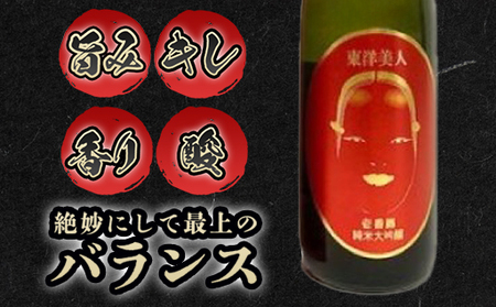 日本酒 純米大吟醸 東洋美人 壱番纏  720ml×1本 酒 お酒 地酒 純米吟醸酒 アルコール｜HG000035
