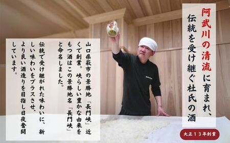 大吟醸 セット 720ml×2 日本酒 長門峡 お酒 酒 アルコール|HG000120