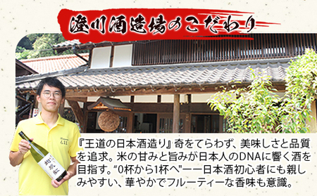 限定 日本酒 東洋美人 地帆紅 (じぱんぐ) 1.8L×1本 大吟醸酒 吟醸酒 酒 お酒 地酒 アルコール|HG000197