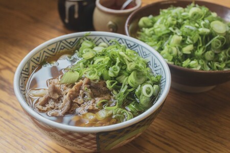 うどん 8人前 セット どんどん ふるさと萩の味 肉うどん 麺類 肉 牛肉 冷凍｜HG000542