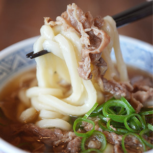 うどん 8人前 セット どんどん ふるさと萩の味 肉うどん 麺類 肉 牛肉 冷凍｜HG000542