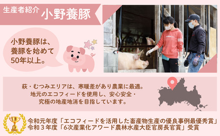 萩むつみ豚 食べ比べセット（大）｜HG000569