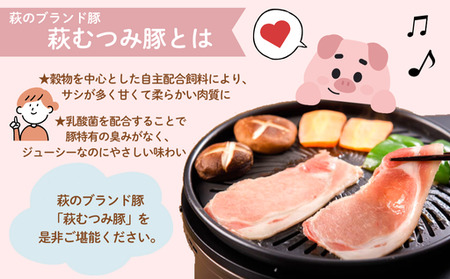 萩むつみ豚 食べ比べセット（大）｜HG000569