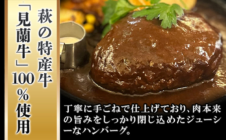 ハンバーグ セット 金 10食 道の駅 萩往還 人気レストラン 玄のハンバーグセット 見蘭牛 牛肉 デミグラスハンバーグ｜HG000598