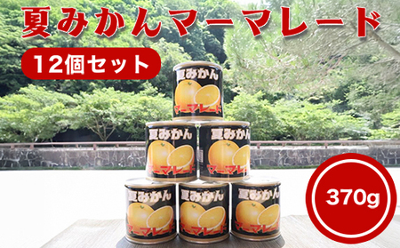 萩名産夏蜜柑/夏みかんマーマレード缶 12個セット|HG000765