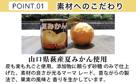萩名産夏蜜柑/夏みかんマーマレード缶 12個セット|HG000765