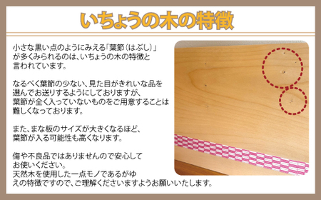まな板 いちょうのまな板 絹板 500×240 和食高級店御用達 超仕上げ キッチン用品 台所用品 雑貨|HG001026