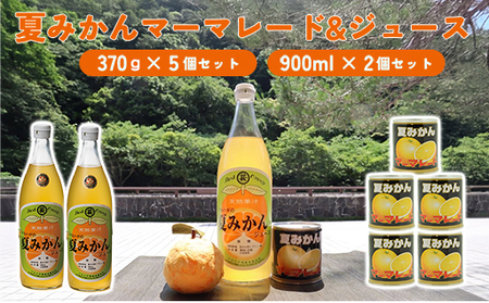 みかん 加工品 セット 萩名産 夏みかん マーマレード 370g×5個 & 夏みかん ジュース 900ml×2本 柑橘類|HG001058