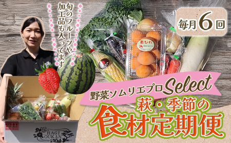 野菜ソムリエプロselect／萩・季節の食材定期便　毎月発送・6回コース｜HG0T0032