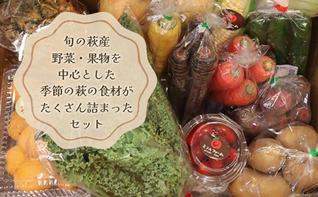 野菜ソムリエプロselect／萩・季節の食材定期便　毎月発送・6回コース｜HG0T0032