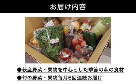 野菜ソムリエプロselect／萩・季節の食材定期便　毎月発送・6回コース｜HG0T0032
