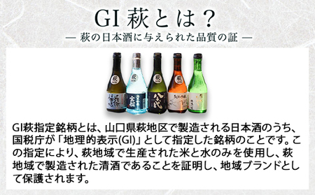 大人気・東洋美人壱番纏も含む!/萩の地酒定期便 萩の地酒で愉しむ1年 毎月発送・12回コース|HG0T0034