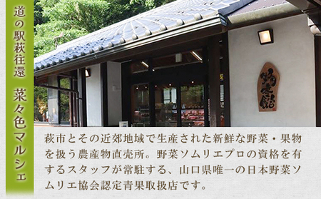 野菜ソムリエプロselect／萩・季節の食材定期便　毎月発送・12回コース｜HG0T0038