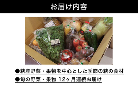 野菜ソムリエプロselect／萩・季節の食材定期便　毎月発送・12回コース｜HG0T0038