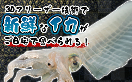自宅で透明感を再現!須佐男命いかの姿造り(刺身)特殊冷却「3D冷凍」パック 3個|HGH00043