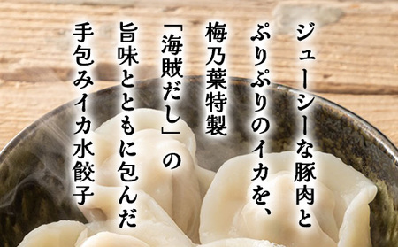 「人気・手包みイカ水餃子」【12個入】×3パック 剣先イカ専門店オリジナル｜HG000592