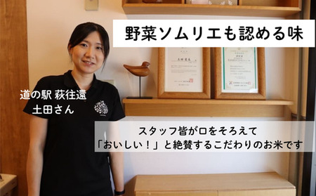 コシヒカリ 5kg 紫雲山 野菜ソムリエ プロselect 萩のお米 萩市 紫福産 米 お米 白米｜HG001019