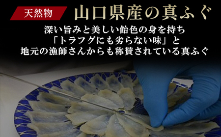 山口県産 真ふぐ 刺身 210g (70g×3皿)|HG000205