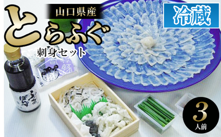 とらふぐ刺身セット3人前【配達不可：離島】｜HG000376 8,875円